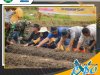 Walikota Melakukan Penanaman Cabai Merah Dan Bawang Merah di Desa Ujung Gurap