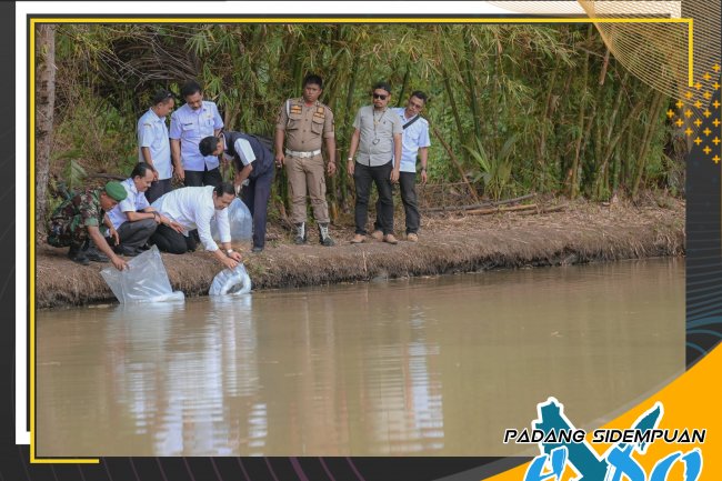 Walikota Lepas 25 Ribu Bibit Ikan Mas dan Ikan Nila di Desa Simirik