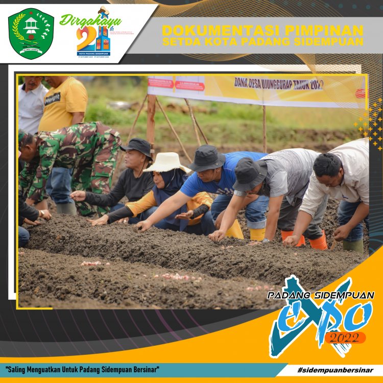 Walikota Melakukan Penanaman Cabai Merah Dan Bawang Merah di Desa Ujung Gurap