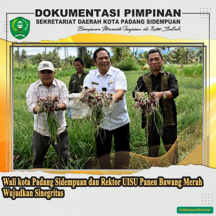 Wali Kota Padang Sidempuan dan Rektor UISU Panen Bawang Merah Wujudkan Sinergitas