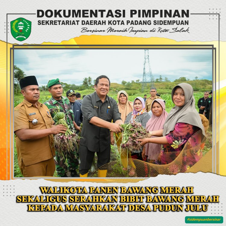 Wali Kota Irsan Efendi Nasution Panen Bawang Merah Sekaligus Penyerahan Bibit di Desa Pudun Julu