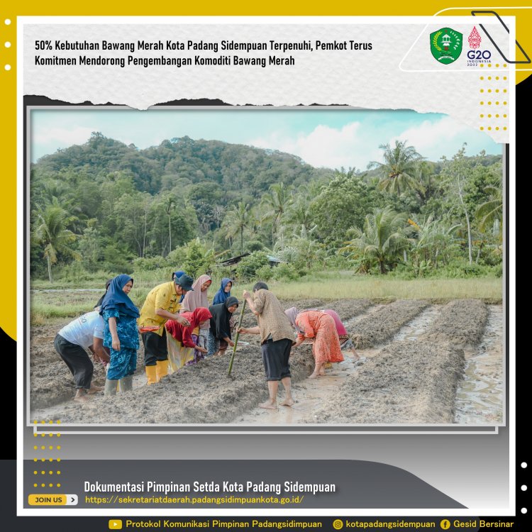 Walikota Tanam Bawang Bersama Sekolah lapang Kelompok Tani Makmur Jaya Kelurahan Silandit