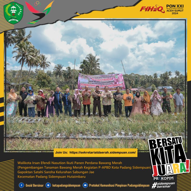 Walikota Laksanakan Panen Perdana Bawang Merah di Gapoktan Satahi Saroha Sabungan Jae